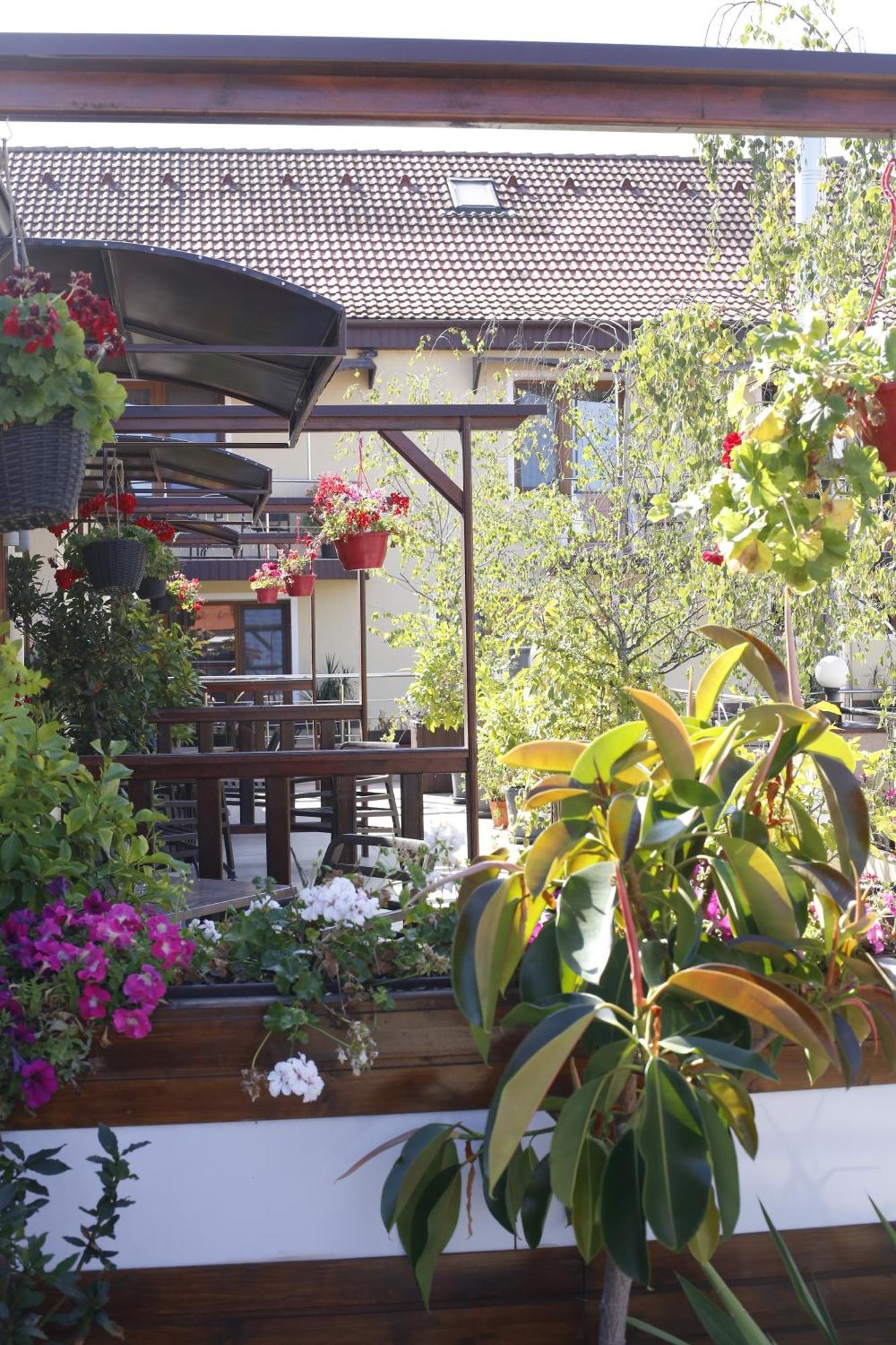 Hotel Bulevard Fagaras Ngoại thất bức ảnh